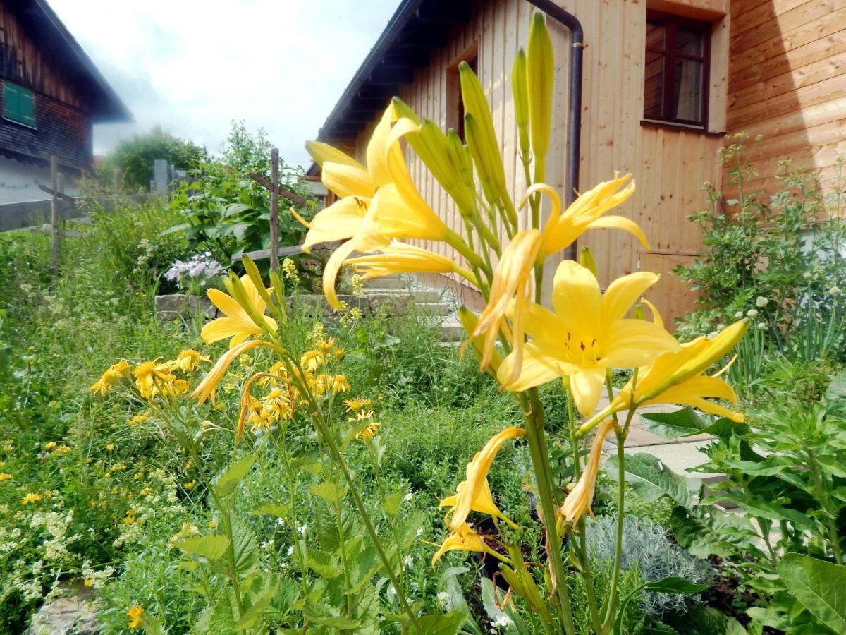 Berggasthof Sonne Allgaeu ゾントホーフェン エクステリア 写真